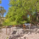 Nazard * Kaş