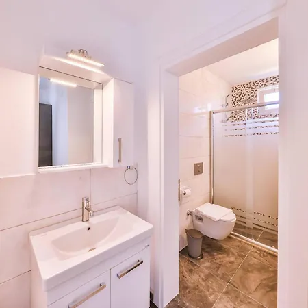 فيلة Nazard كاس