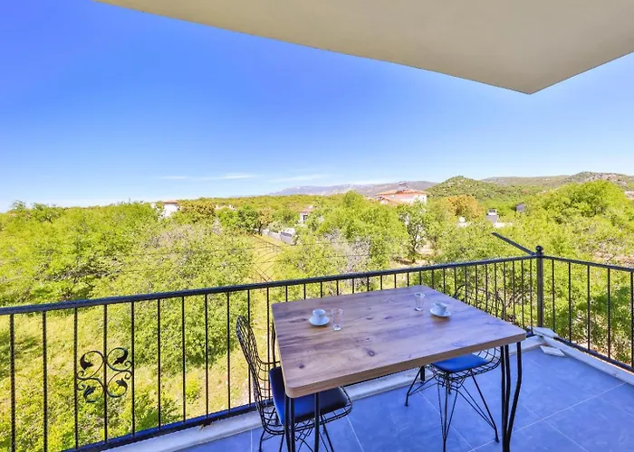 Nazard فيلة كاس