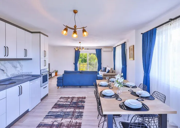 Nazard فيلة كاس