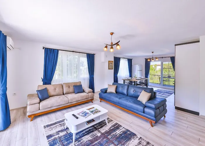 فيلة Nazard كاس