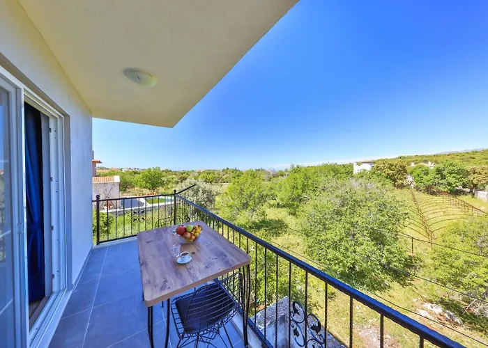 Nazard فيلة كاس